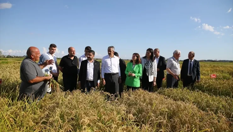 Trakya Tarımsal Araştırma Enstitüsü’nde ‘Çeltik Tarla Günü’ etkinliği yapıldı