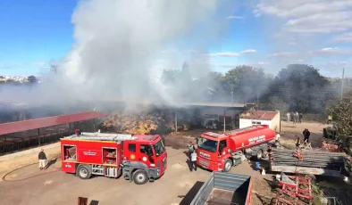 Edirne’de Çiftlikte Yangın: Saman Balyaları ve Çeltikler Küle Döndü